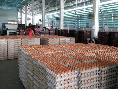 อธิบดีนิรันดร์ “สั่งเตรียมพร้อมสหกรณ์รับมือน้ำมันแพง ... พารามิเตอร์รูปภาพ 11