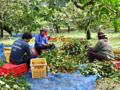 อธิบดีนิรันดร์ “สั่งเตรียมพร้อมสหกรณ์รับมือน้ำมันแพง ... พารามิเตอร์รูปภาพ 18