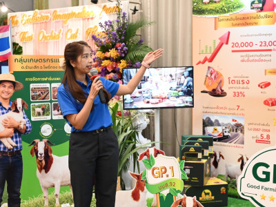 รองอธิบดีกรมส่งเสริมสหกรณ์ ... พารามิเตอร์รูปภาพ 12