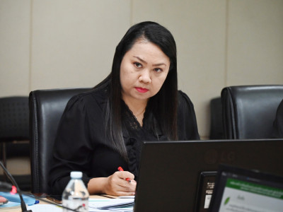 รองอธิบดีกรมส่งเสริมสหกรณ์ ... พารามิเตอร์รูปภาพ 13