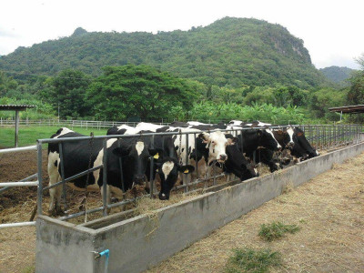 กรมส่งเสริมสหกรณ์แก้วิกฤติ “ปุ๋ยแพง-นมล้น” ผนึก กยท.ผลิต ... พารามิเตอร์รูปภาพ 1