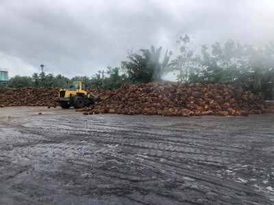ดีเดย์! 7 เมษางดส่งออกน้ำมันปาล์มดิบ ... พารามิเตอร์รูปภาพ 3