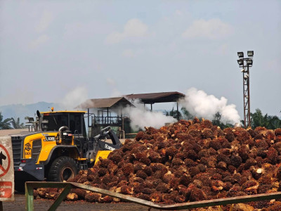 ดีเดย์! 7 เมษางดส่งออกน้ำมันปาล์มดิบ ... พารามิเตอร์รูปภาพ 10