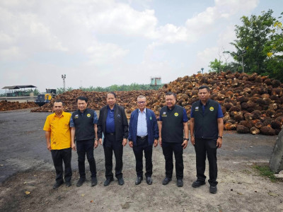 ดีเดย์! 7 เมษางดส่งออกน้ำมันปาล์มดิบ ... พารามิเตอร์รูปภาพ 11