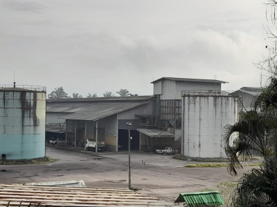 ดีเดย์! 7 เมษางดส่งออกน้ำมันปาล์มดิบ ... พารามิเตอร์รูปภาพ 12