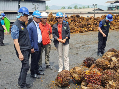 ดีเดย์! 7 เมษางดส่งออกน้ำมันปาล์มดิบ ... พารามิเตอร์รูปภาพ 15