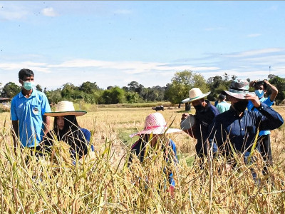 กรมส่งเสริมสหกรณ์ เชิดชูสหกรณ์และกลุ่มเกษตรกรดีเด่นแห่งชาติ ... พารามิเตอร์รูปภาพ 11
