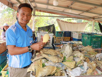 ผนึกเครือข่ายสหกรณ์ทั่วไทย เร่งระบายมะม่วงGIพิษณุโลก พารามิเตอร์รูปภาพ 4