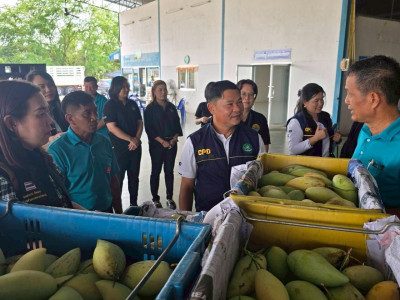 รองอธิบดีกรมส่งเสริมสหกรณ์ ... พารามิเตอร์รูปภาพ 15