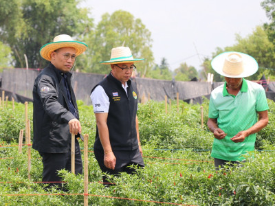 รองอธิบดีกรมส่งเสริมสหกรณ์ ... พารามิเตอร์รูปภาพ 4