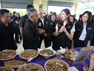 นางสาวปิยะรัฐชย์ ติยะไพรัช ... พารามิเตอร์รูปภาพ 4
