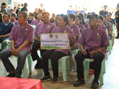 นางสาวปิยะรัฐชย์ ติยะไพรัช ... พารามิเตอร์รูปภาพ 13