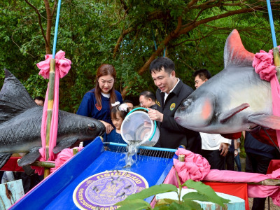 นางสาวปิยะรัฐชย์ ติยะไพรัช ... พารามิเตอร์รูปภาพ 5
