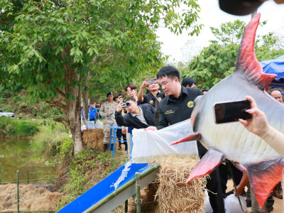 นางสาวปิยะรัฐชย์ ติยะไพรัช ... พารามิเตอร์รูปภาพ 18