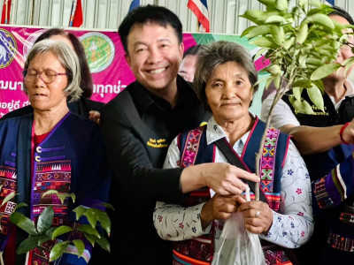 นายนิกร โสมกลาง ... พารามิเตอร์รูปภาพ 4