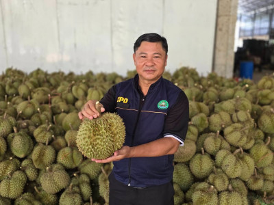 กรมส่งเสริมสหกรณ์ชง 4 มาตรการหลัก กระตุ้นบริโภคผลไม้ไทย ... พารามิเตอร์รูปภาพ 6