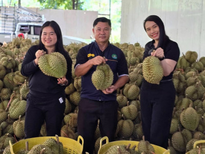 กรมส่งเสริมสหกรณ์ชง 4 มาตรการหลัก กระตุ้นบริโภคผลไม้ไทย ... พารามิเตอร์รูปภาพ 7