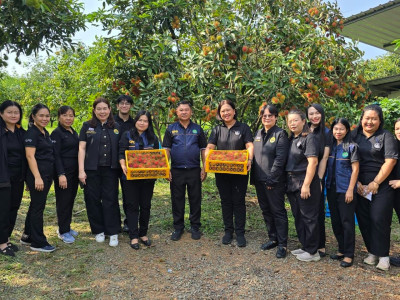 กรมส่งเสริมสหกรณ์ชง 4 มาตรการหลัก กระตุ้นบริโภคผลไม้ไทย ... พารามิเตอร์รูปภาพ 8