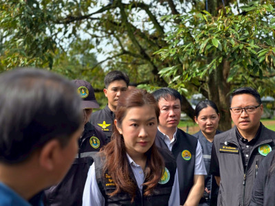 นาสาวปิยะรัฐชย์ ติยะไพรัช ... พารามิเตอร์รูปภาพ 25