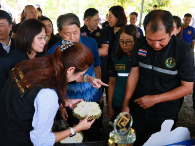นาสาวปิยะรัฐชย์ ติยะไพรัช ... พารามิเตอร์รูปภาพ 27