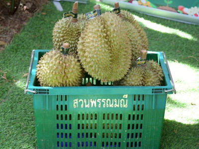 นายสุริยะ จึงรุ่งเรืองกิจ ... พารามิเตอร์รูปภาพ 30