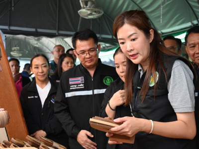 นางสาวปิยะรัฐชย์ ติยะไพรัช ... พารามิเตอร์รูปภาพ 34