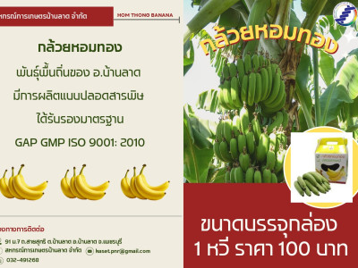 “E-Catalog” ซื้อขายสินค้าสหกรณ์ทั่วไทยเชื่อมศูนย์กระจายฯ ... พารามิเตอร์รูปภาพ 9