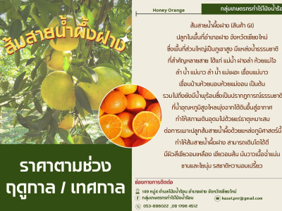 “E-Catalog” ซื้อขายสินค้าสหกรณ์ทั่วไทยเชื่อมศูนย์กระจายฯ ... พารามิเตอร์รูปภาพ 10