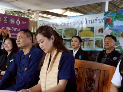 นางสาวปิยะรัฐชย์ ติยะไพรัช ... พารามิเตอร์รูปภาพ 7