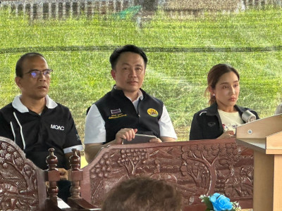 นางสาวปิยะรัฐชย์ ติยะไพรัช ... พารามิเตอร์รูปภาพ 4