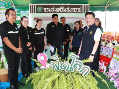 นางสาวปิยะรัฐชย์ ติยะไพรัช ... พารามิเตอร์รูปภาพ 16