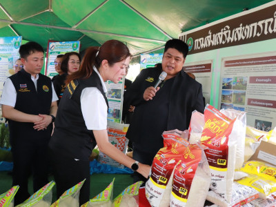 นางสาวปิยะรัฐชย์ ติยะไพรัช ... พารามิเตอร์รูปภาพ 19
