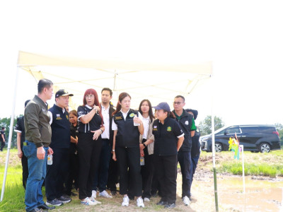 นางสาวปิยะรัฐชย์ ติยะไพรัช ... พารามิเตอร์รูปภาพ 16