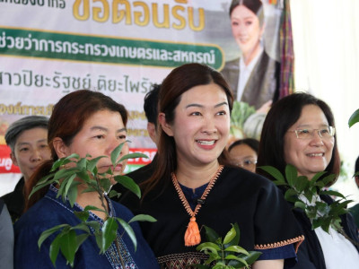 นางสาวปิยะรัฐชย์ ติยะไพรัช ... พารามิเตอร์รูปภาพ 15