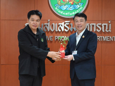 อธิบดีกรมส่งเสริมสหกรณ์ ... พารามิเตอร์รูปภาพ 26