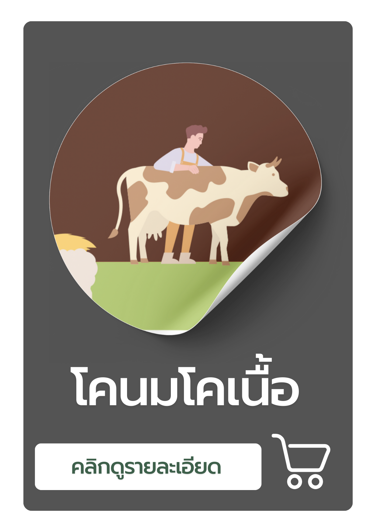 ผลิตภัณฑ์ประเภทโคนมโคเนื้อ