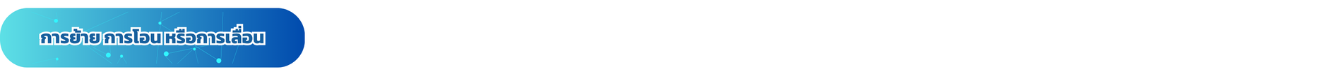 41.png